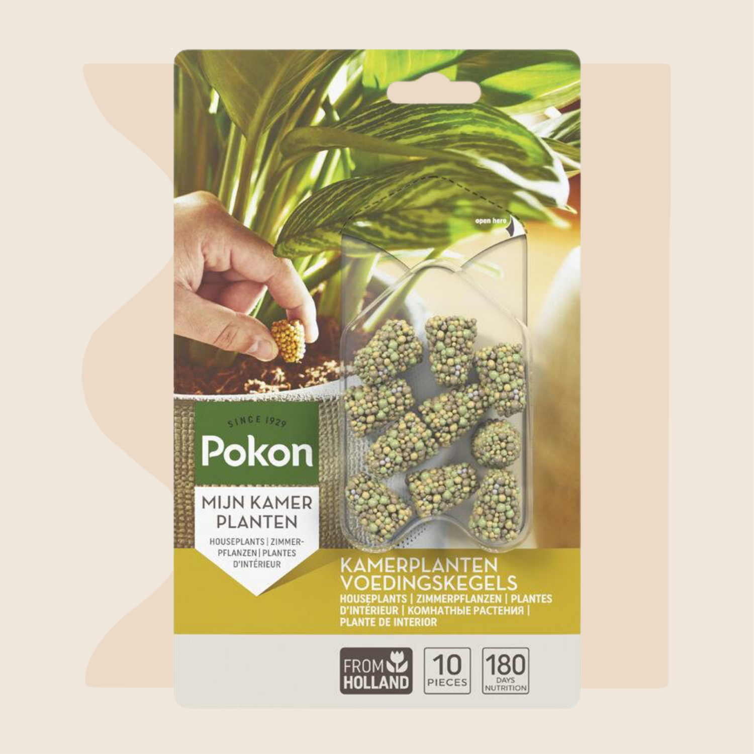 Pokon kamerplanten voedingskegels