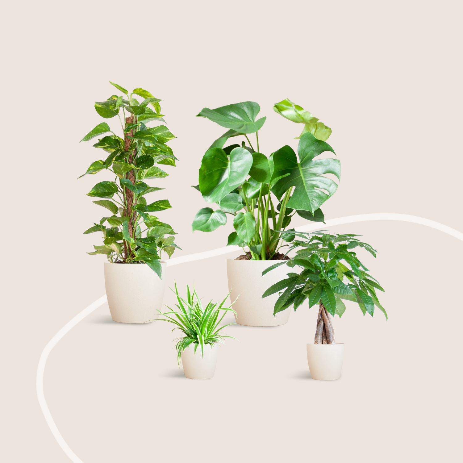 Maison Verte - medium