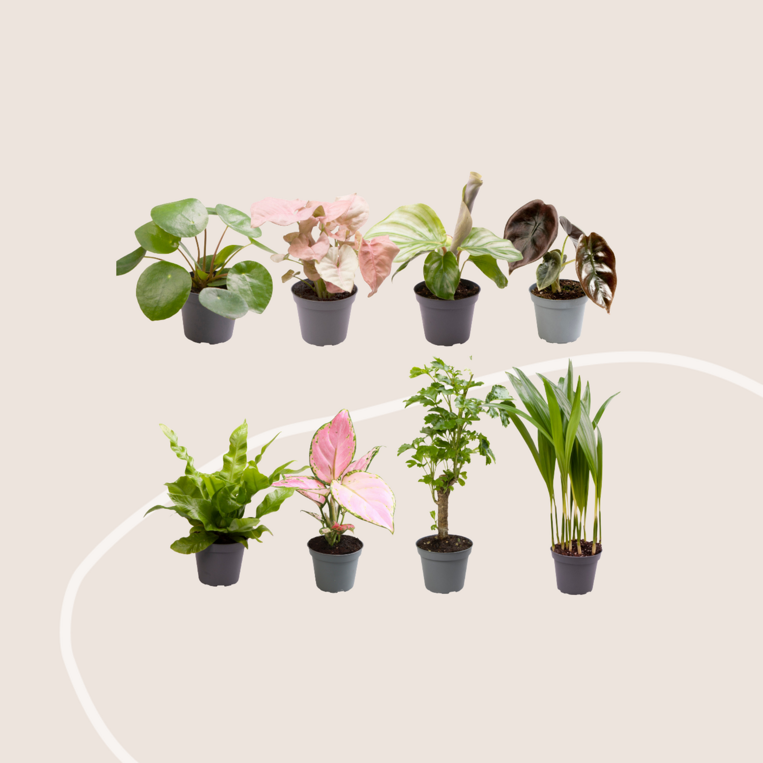 Éden Intérieur - small