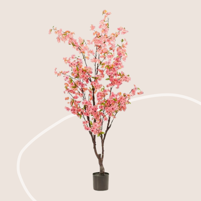 Rosée