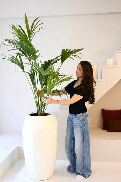 Malena
