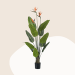 Kunstplanten