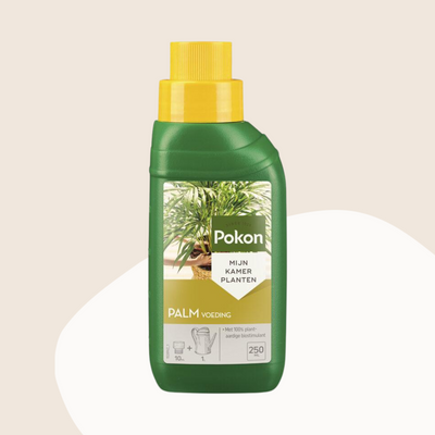 Pokon palmen plant voeding