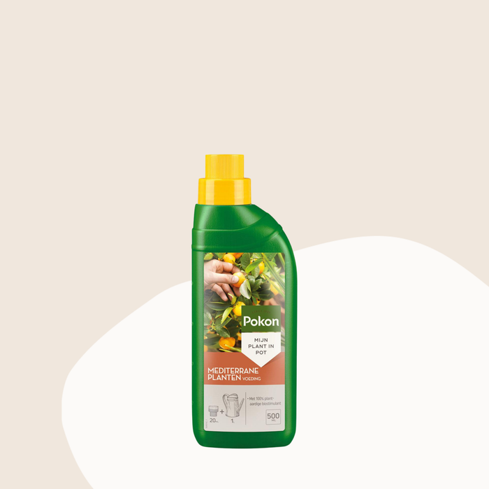 Pokon Mediterrane Plantenvoeding 500 ml