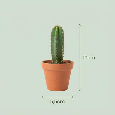 Jardin Suprême